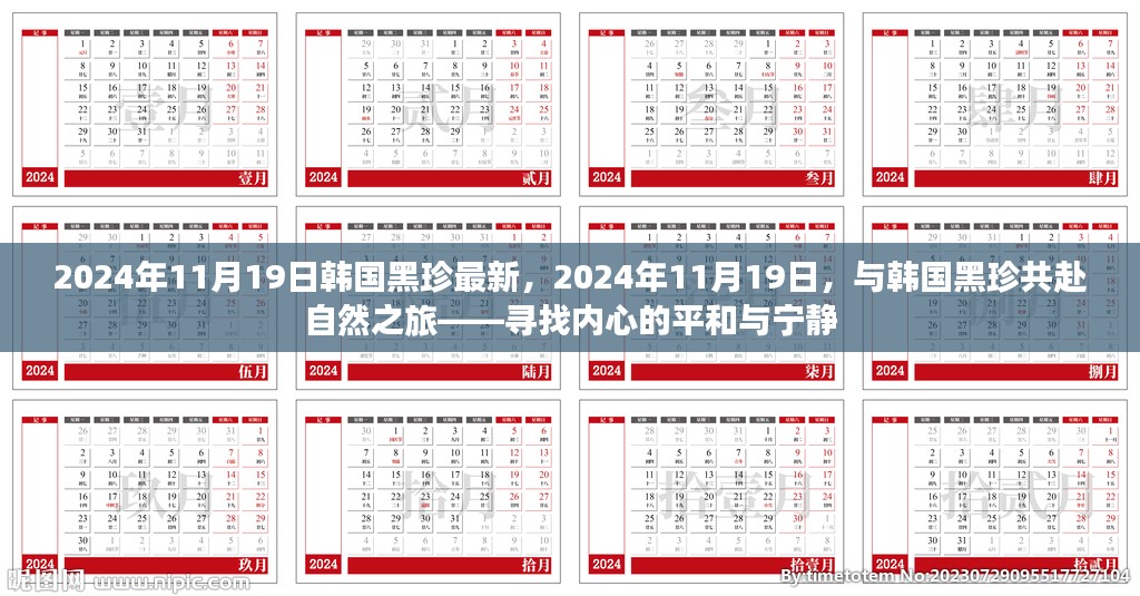 韩国黑珍最新之旅，探寻自然之美，共赴心灵宁静之旅（2024年11月19日）