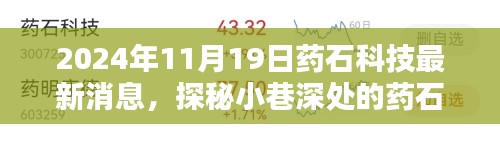 2024年11月19日药石科技最新消息，探秘小巷深处的药石科技奇点，2024年11月19日药石科技最新消息