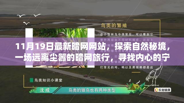 探索暗网秘境，心灵之旅，寻找内心的宁静与平和