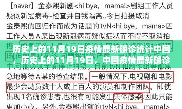 中国疫情最新确诊统计深度解析，历史上的11月19日回顾与解析