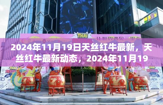 天丝红牛最新动态，深度探析其在2024年11月19日的观点