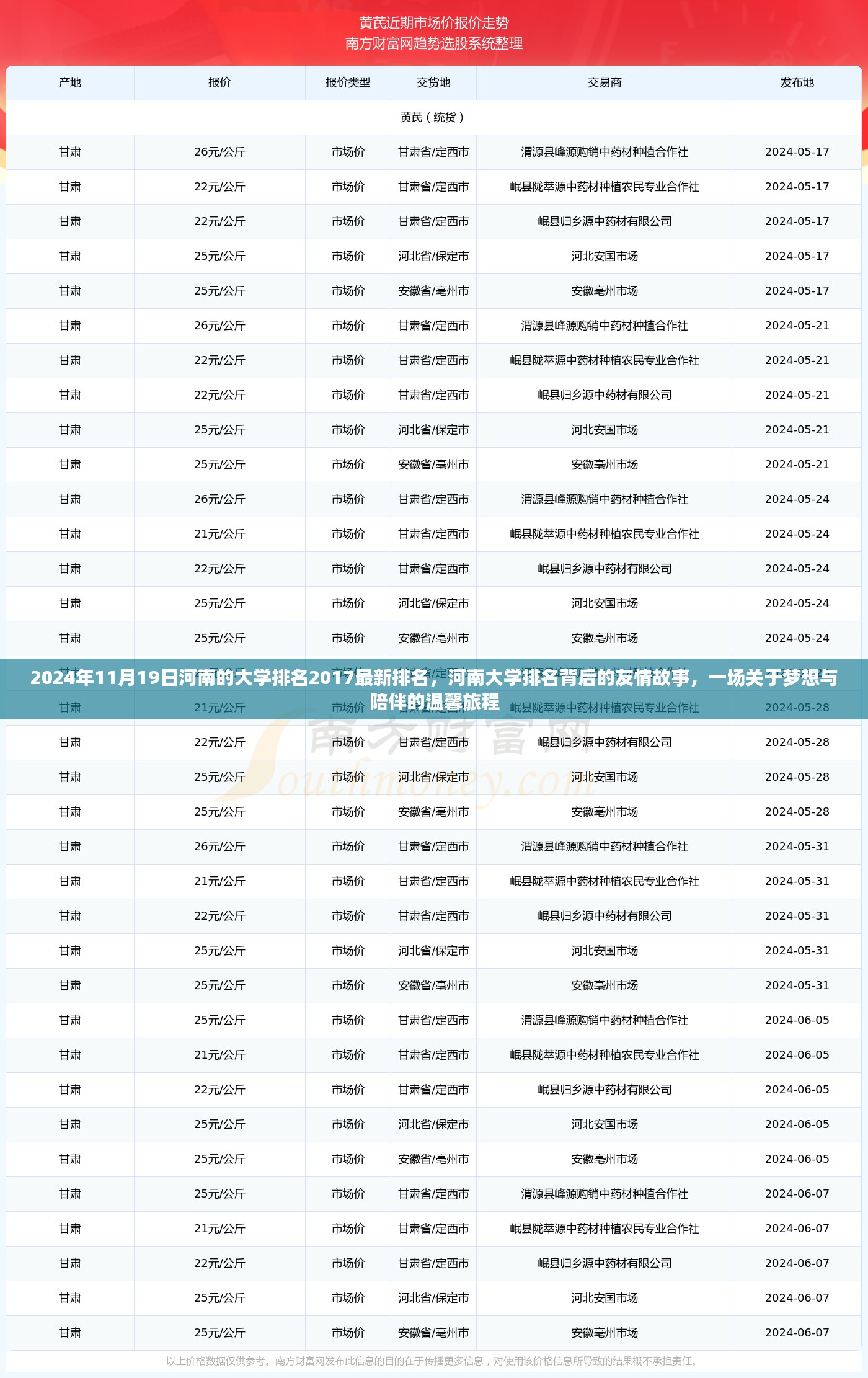 河南大学排名背后的友情故事与梦想陪伴的温馨旅程（最新排名）