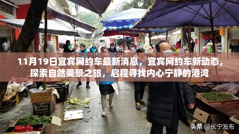 宜宾网约车新动态，探索自然美景之旅，启程寻找宁静港湾