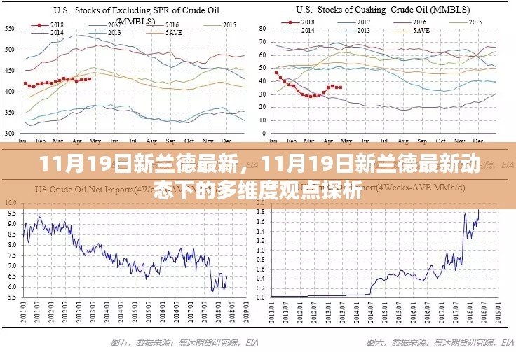 11月19日新兰德最新动态，多维度观点探析