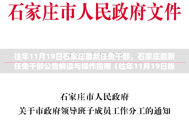 往年11月19日石家庄干部任免更新，解读与操作指南