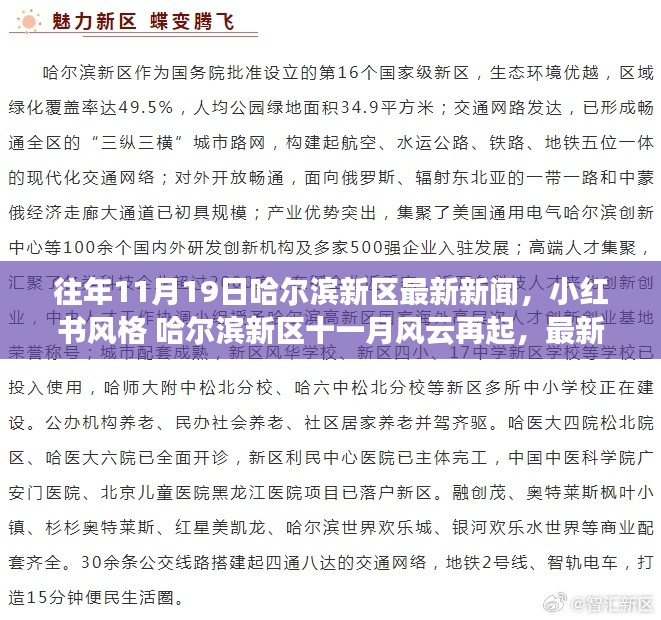 哈尔滨新区十一月风云再起，最新新闻小红书风格一网打尽！