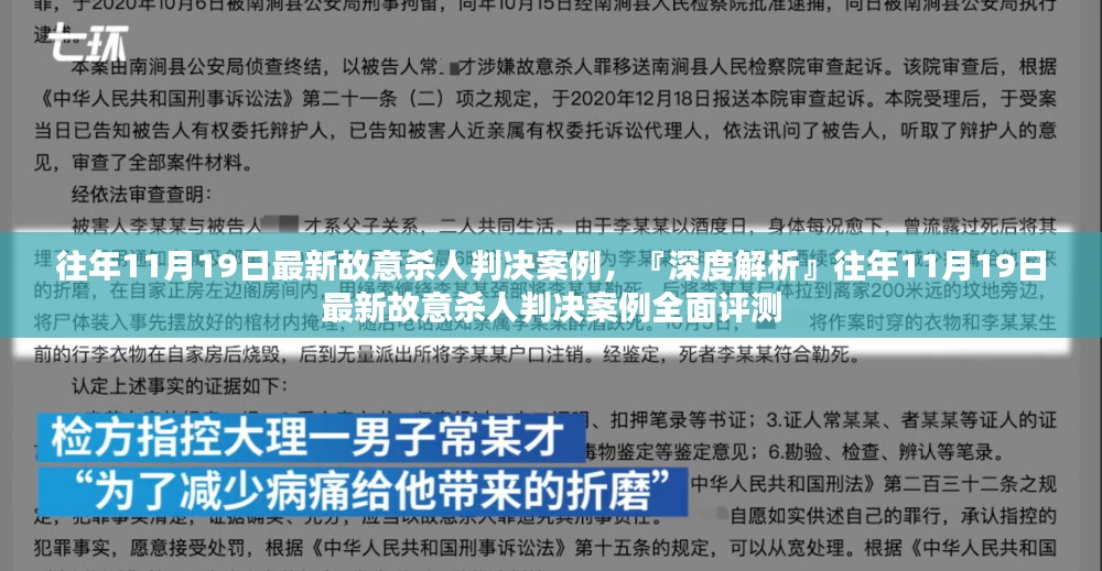 『深度解析』，历年11月19日故意杀人判决案例全面回顾与评测深度报告出炉！