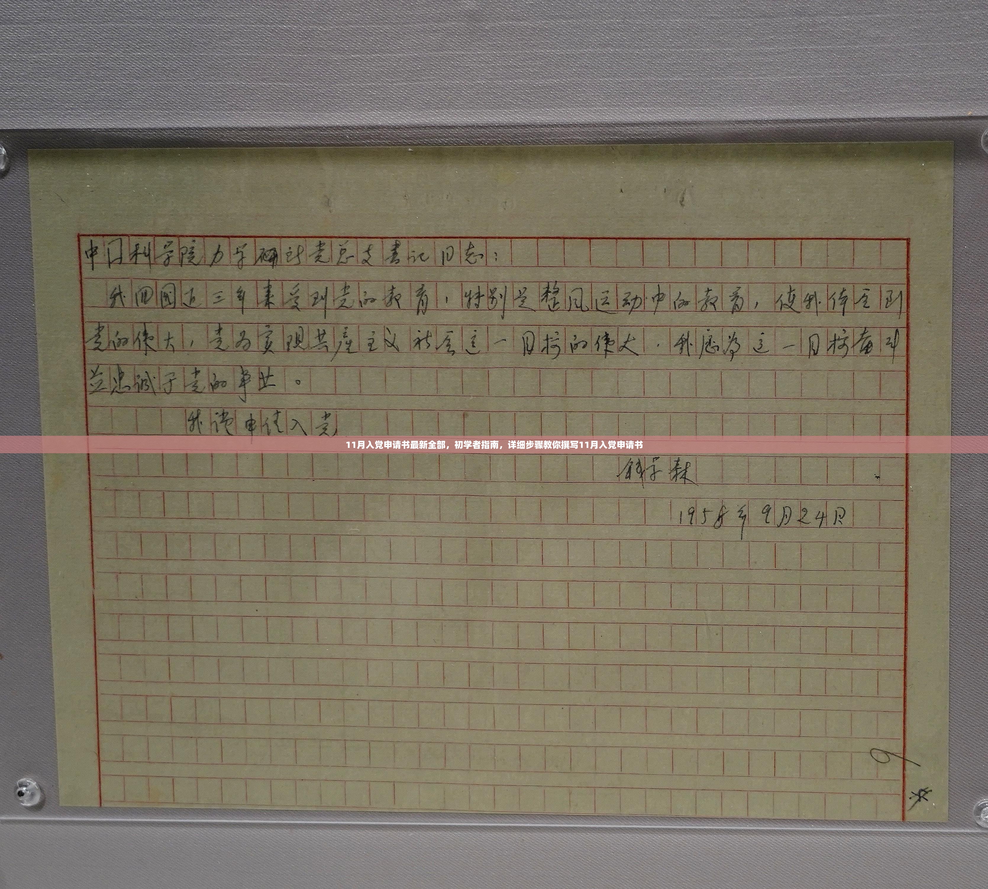 11月入党申请书最新全部，初学者指南，详细步骤教你撰写11月入党申请书