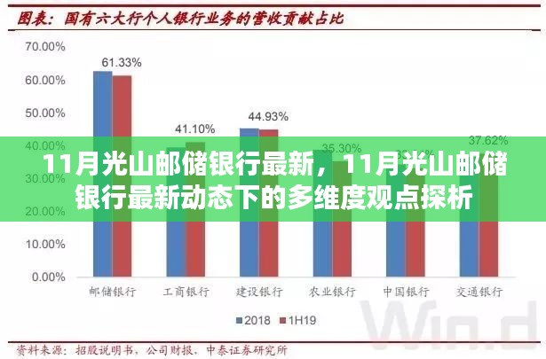 11月光山邮储银行最新动态深度解析，多维度观点探析