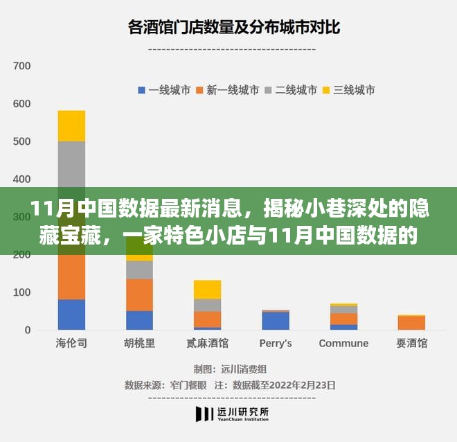 揭秘小巷深处的特色小店与最新中国数据故事，11月深度报告