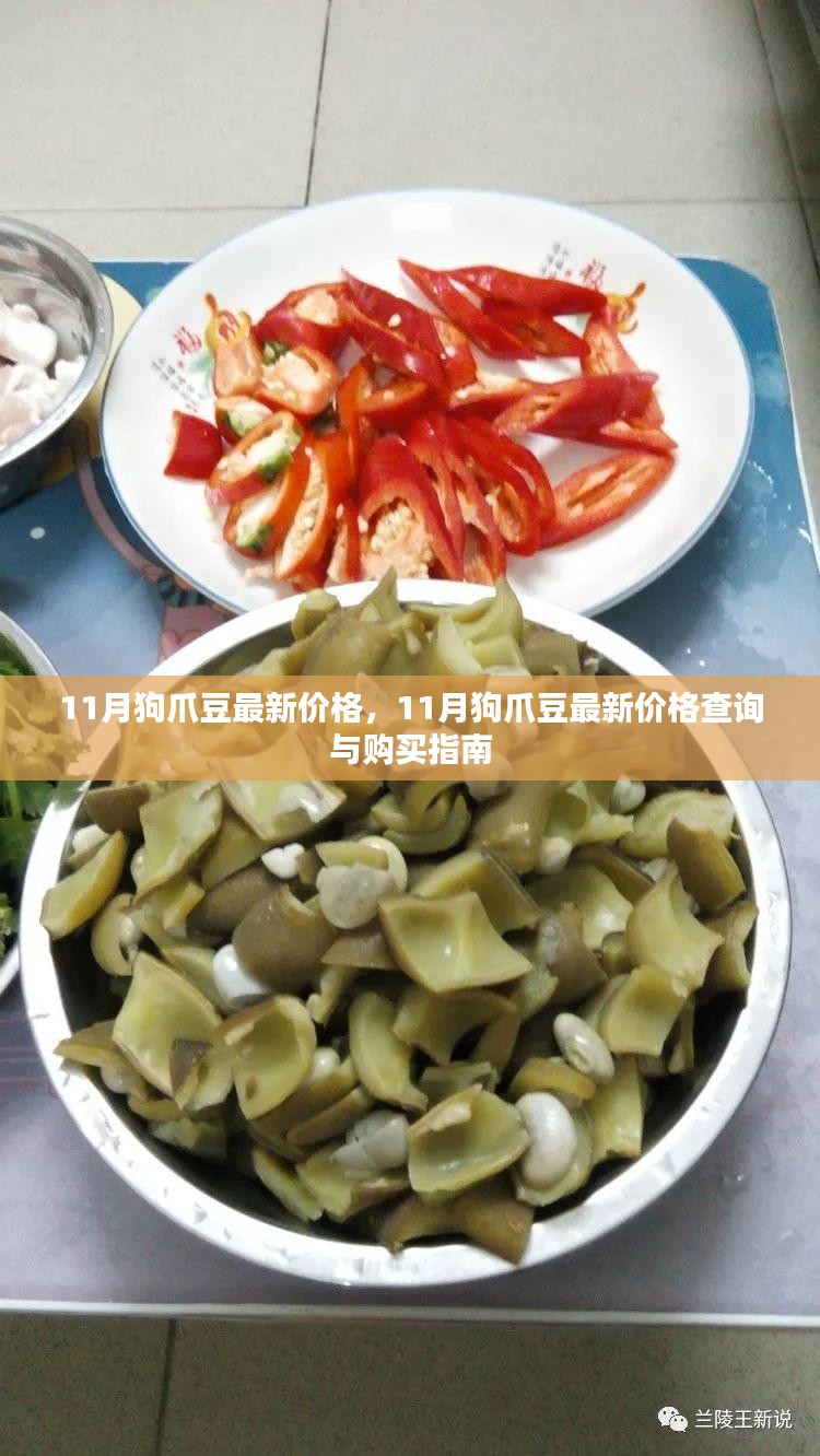 工程案例 第311页