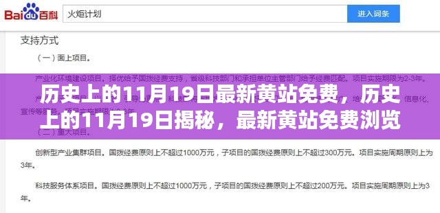 揭秘，历史上的11月19日涉黄网站免费浏览指南揭秘（敏感内容警告）