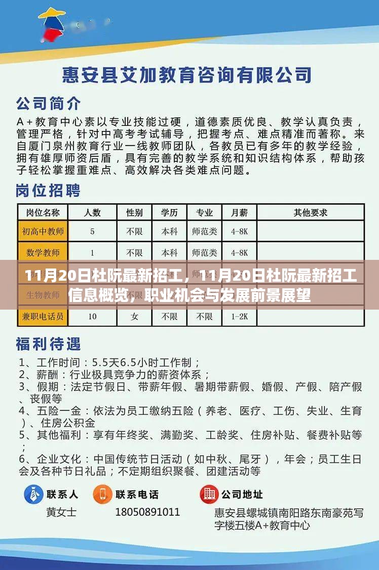 11月20日杜阮最新招工信息概览，职业机会与发展前景展望