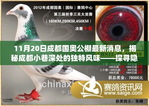 探寻成都国奥公棚旁小巷深处的独特风味，小店故事揭秘