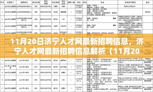 济宁人才网最新招聘信息解析（11月20日版）