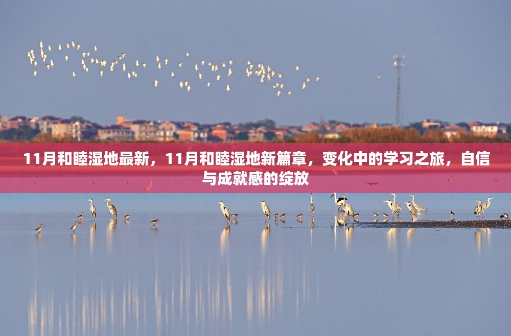 11月和睦湿地新篇章，变化中的学习之旅，自信与成就感的绽放之地