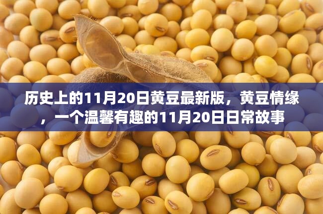 黄豆情缘，温馨有趣的日常故事——历史上的11月20日黄豆版