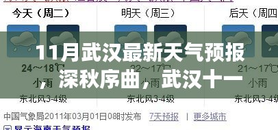 武汉十一月天气预报，深秋气象解读与最新预测