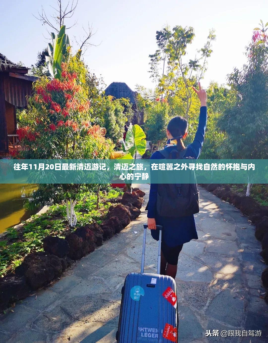 清迈之旅，探寻自然怀抱与内心宁静的旅程