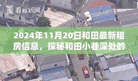 探秘和田小巷深处的宝藏，最新租房信息与特色小店风情纪实（2024年11月20日）