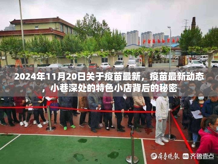 揭秘，疫苗最新动态与小巷特色小店的秘密探索（2024年疫苗最新资讯）