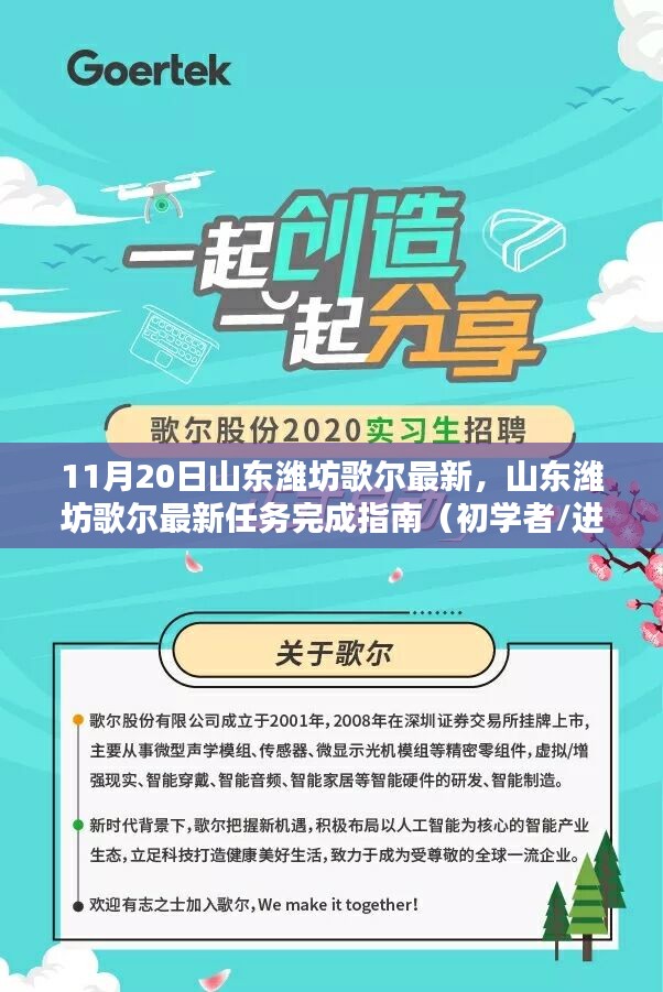 山东潍坊歌尔最新任务完成指南，初学者与进阶用户的实用指南（11月20日更新）