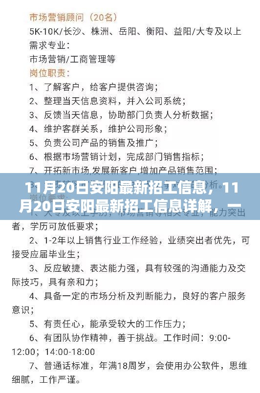 11月20日安阳最新招工信息解析与应聘指南