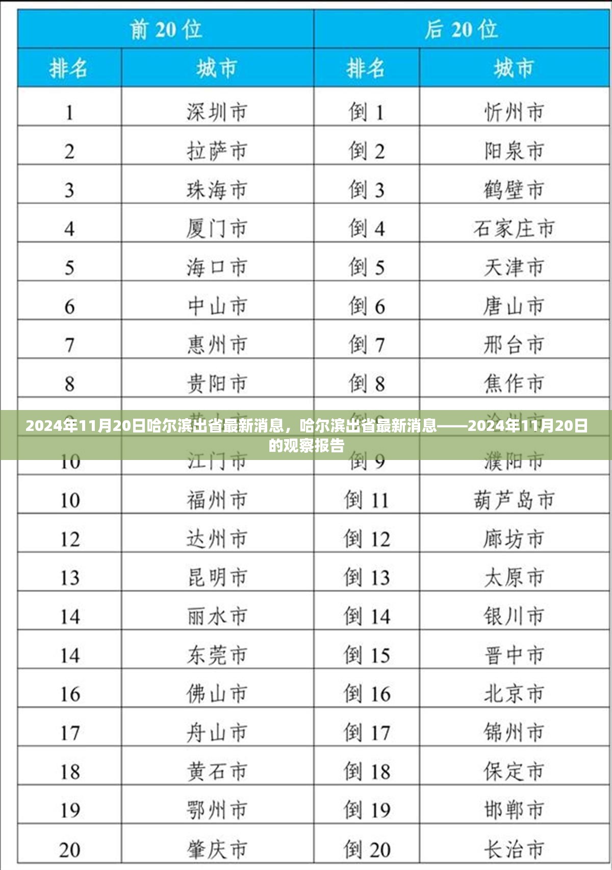 哈尔滨出省最新消息观察报告，2024年11月20日报告