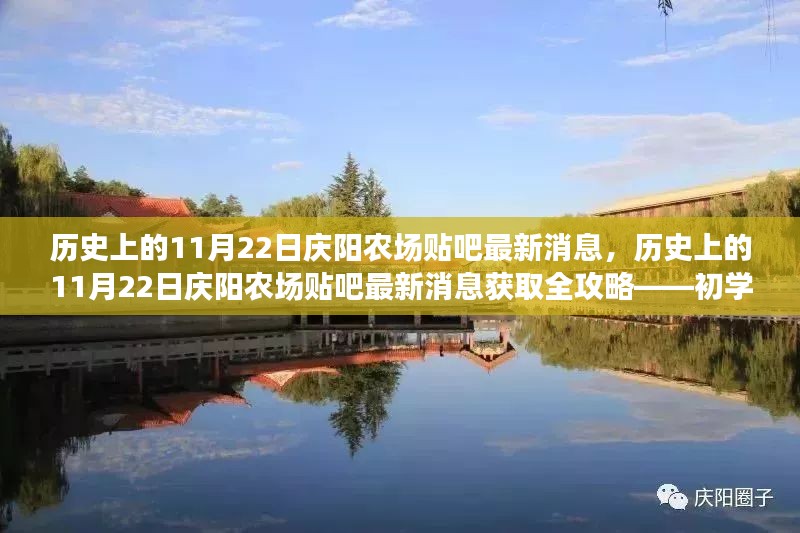 历史上的11月22日庆阳农场贴吧最新消息全攻略，适合初学者与进阶用户