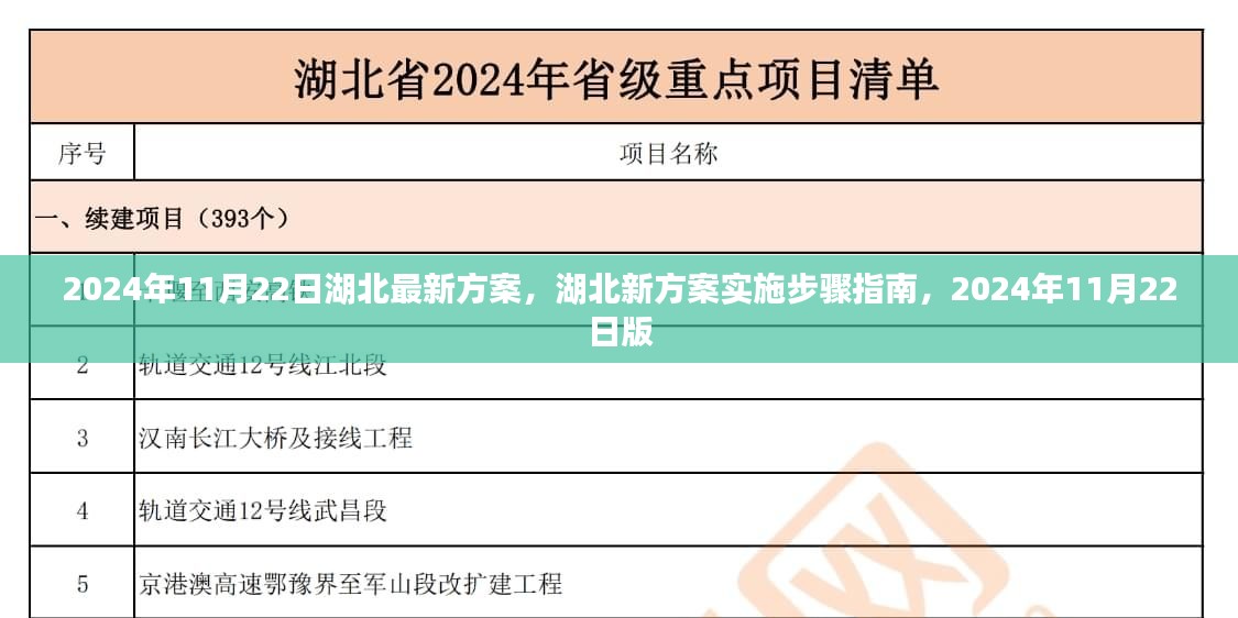 湖北新方案实施指南，步骤详解与最新动态（2024年11月版）