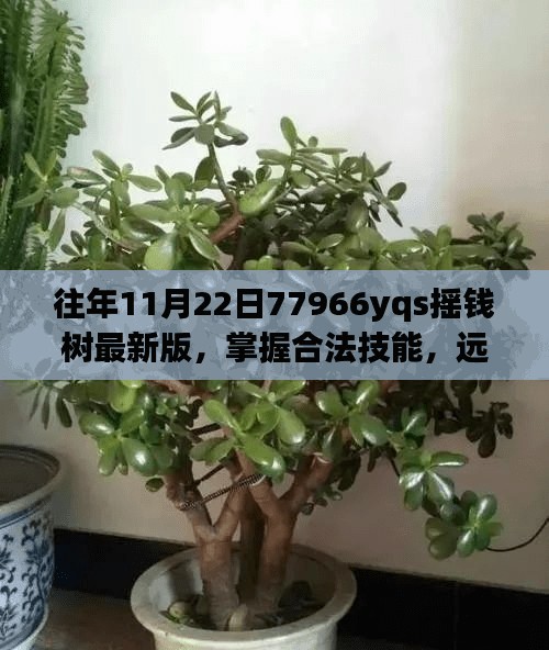 掌握最新摇钱树指南，学习使用合法技能，远离非法诱惑（非任务执行版）