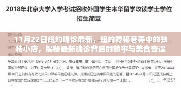 11月22日纽约确诊最新，纽约隐秘巷弄中的独特小店，揭秘最新确诊背后的故事与美食奇遇