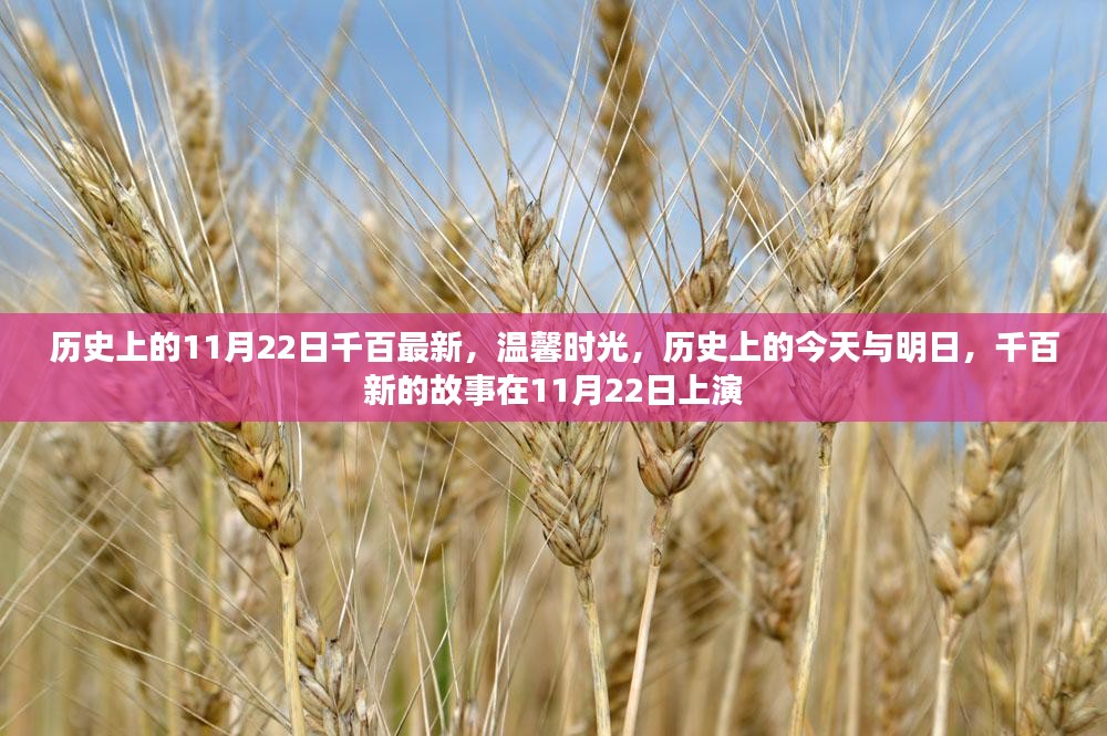 11月22日，历史上的温馨时光与千百新故事的交汇点