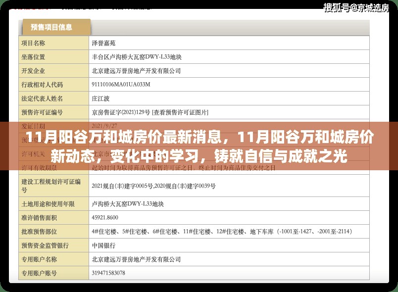 11月阳谷万和城房价最新消息，11月阳谷万和城房价新动态，变化中的学习，铸就自信与成就之光