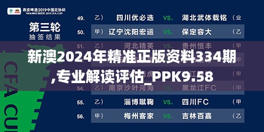 新澳2024年精准正版资料334期,专业解读评估_PPK9.58