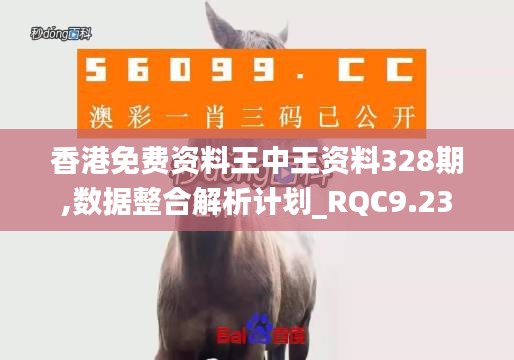 香港免费资料王中王资料328期,数据整合解析计划_RQC9.23