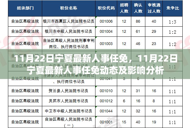 宁夏人事任免动态，最新人事调整及分析影响