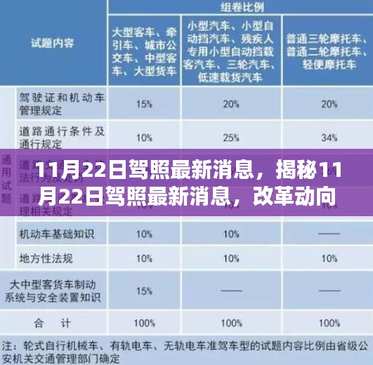 揭秘，驾照改革动向与深度影响分析——最新消息解读（11月22日更新）