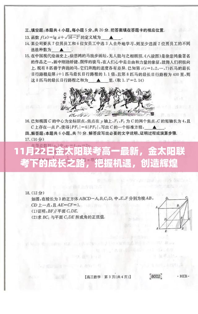 金太阳联考下的成长之路，把握机遇，创造辉煌——最新高一联考分析