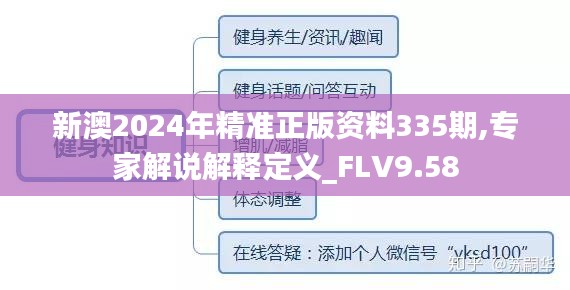 新澳2024年精准正版资料335期,专家解说解释定义_FLV9.58