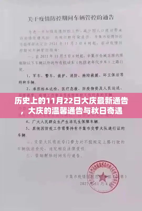 大庆历史重要时刻，温馨通告与秋日奇遇的交汇日——11月22日大庆最新通告回顾