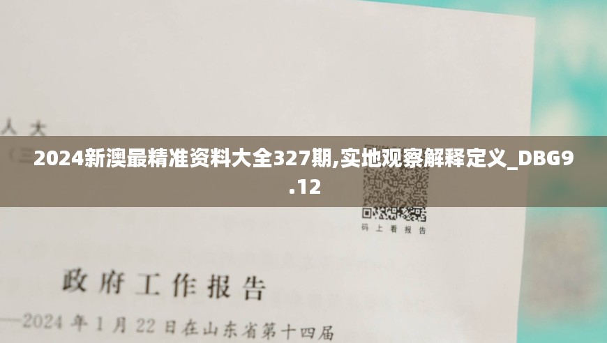 2024新澳最精准资料大全327期,实地观察解释定义_DBG9.12