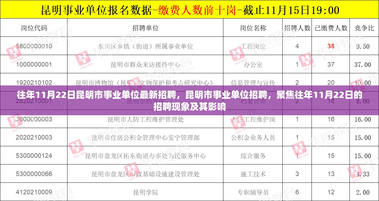 昆明市事业单位招聘聚焦，历年11月22日招聘现象及其影响分析