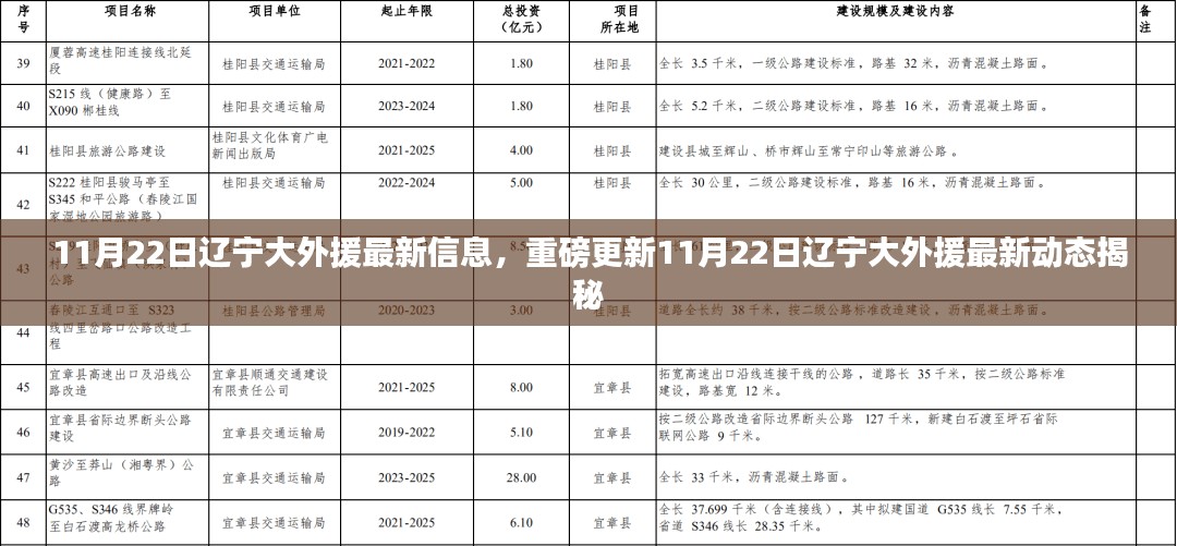 11月22日辽宁大外援最新动态揭秘，重磅更新消息一览