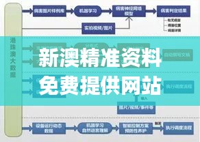 新澳精准资料免费提供网站328期,新式数据解释设想_FMB9.32