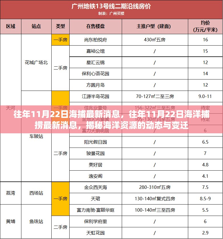 揭秘，历年11月22日海洋捕捞最新动态与资源变迁