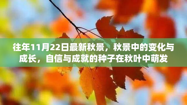 秋叶中的成长与成就，秋景中的变化与种子萌发之路