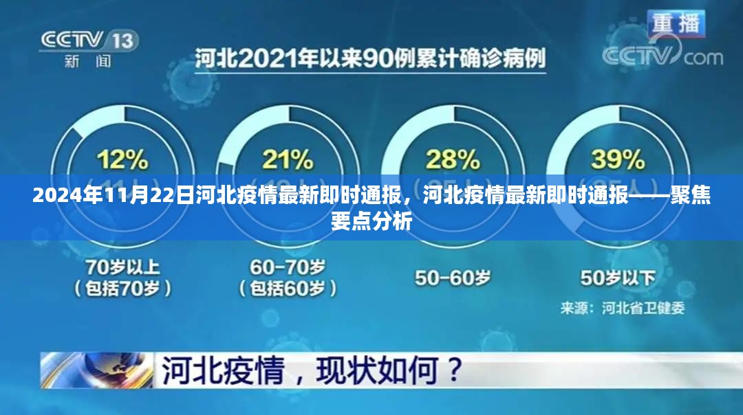 2024年11月22日河北疫情最新即时通报，河北疫情最新即时通报——聚焦要点分析