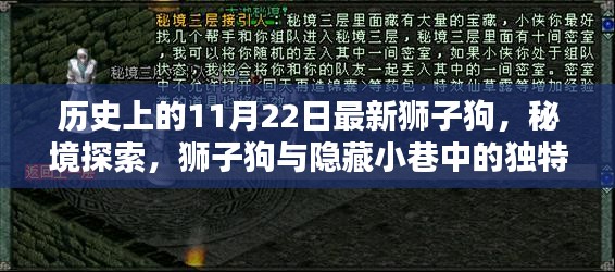 秘境探索，狮子狗与隐藏小巷的独特小店——历史上的11月22日最新狮子狗揭秘