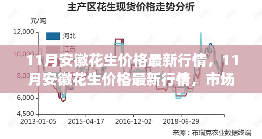 安徽花生市场最新行情分析，11月价格走势与预测报告